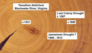 Illustration for article titled New Discoveries Could Explain What Happened to the Lost Colony of Roanoke